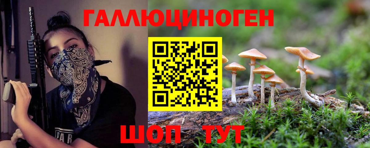 Псилоцибиновые грибы Magic Shrooms  Вход с VPN  где купить наркоту  Асбест 